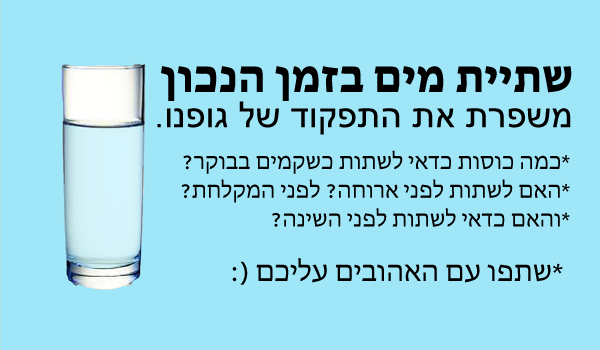 מתי נכון לשתות מים? | אגוגו
